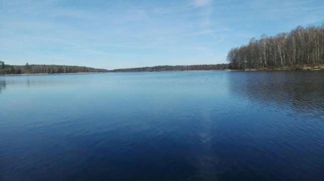 Domki Heaven Kujanki Kujanki  Exteriör bild